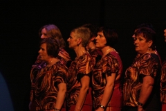 revue2012190